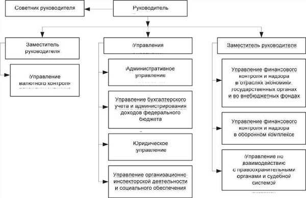 Информация о долгах и банкротстве