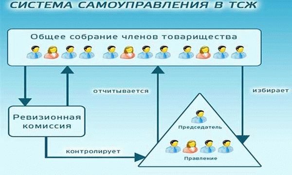 Какие основные функции и обязанности ревизионной комиссии?