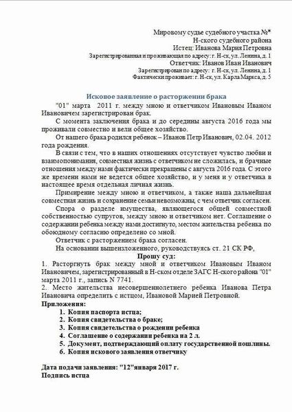 Пошаговая инструкция по подаче искового заявления через суд