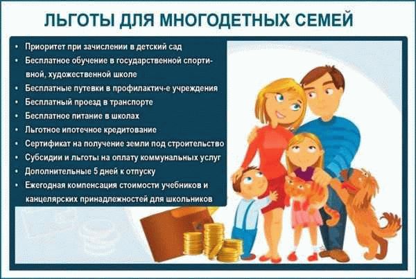 Проблемы, с которыми сталкиваются молодые семьи