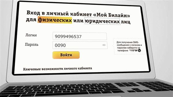 Информация о сайте