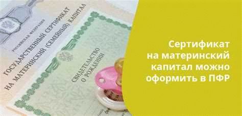 Образование детей: инвестируйте материнский капитал в будущее