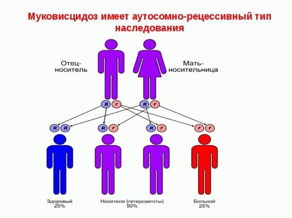 Оформление наследства после смерти отца