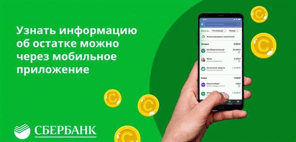 Узнаём остаток маткапитала через интернет