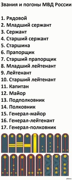 Средняя зарплата сотрудников полиции в году