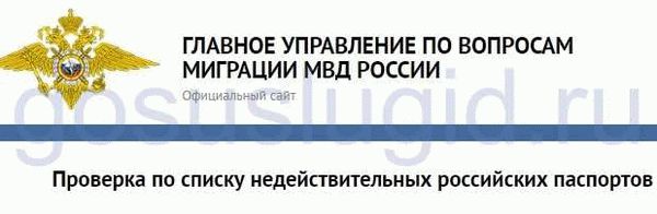 Ошибки во введенных данных при проверке паспорта