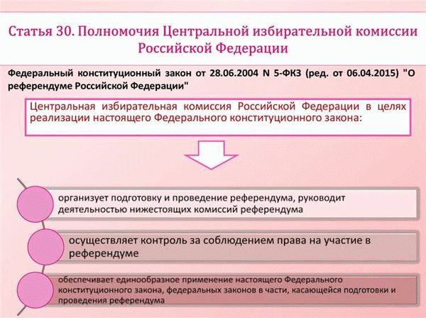 Центральная избирательная комиссия РФ: формирование и полномочия