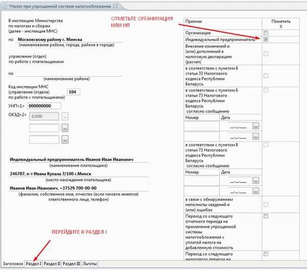 Как правильно заполнить и подать декларацию!