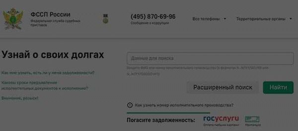 Какие долги можно проверить через онлайн-сервис