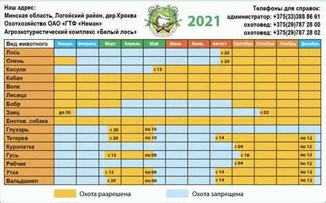 Прежние годы: каким был Прожиточный минимум в Подмосковье ранее