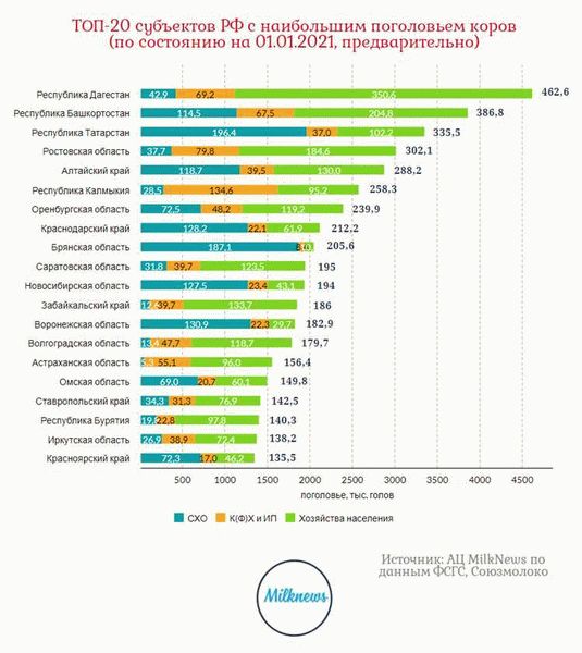 Прогнозы на 2025 год: рост задолженности и последствия