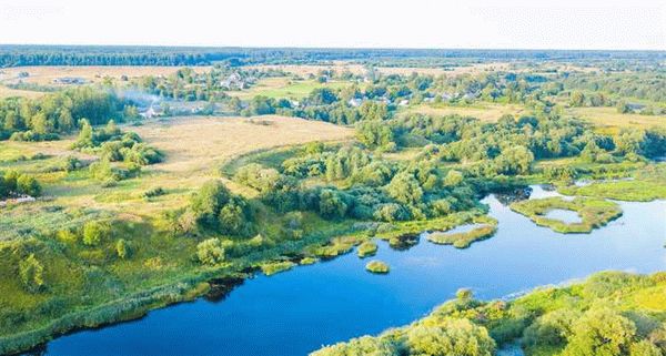 Аренда земельных участков в Псковской области