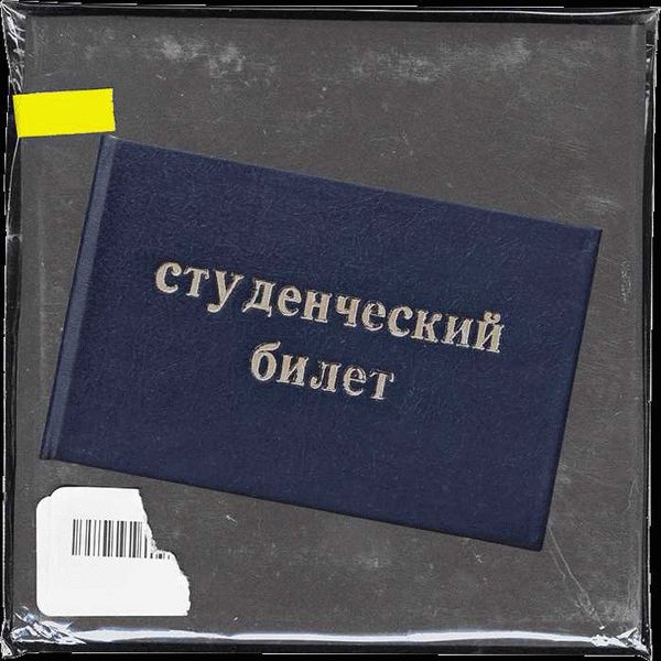 Есть ли социальная стипендия при обучении за границей?