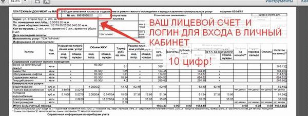 Списание долгов при банкротстве: правовые аспекты и условия