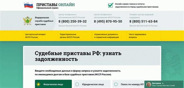 Как пользоваться мобильным приложением edolgi?