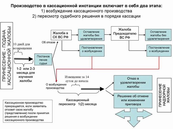 Надзорное производство: сущность и значение