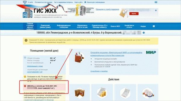 Какие долги можно проверить через онлайн-сервис