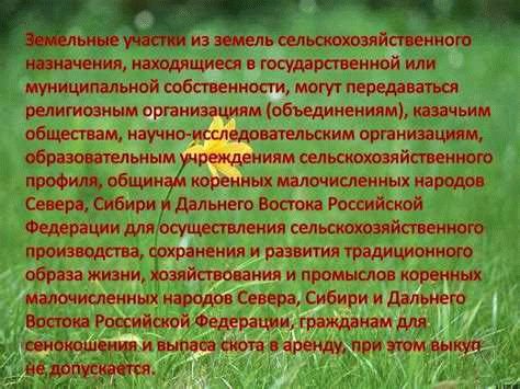 Как доказать использование земельного участка до регистрации муниципальной собственности