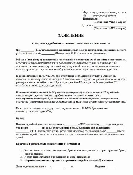 Заявление о выдаче копии судебного приказа: образец и сроки получения